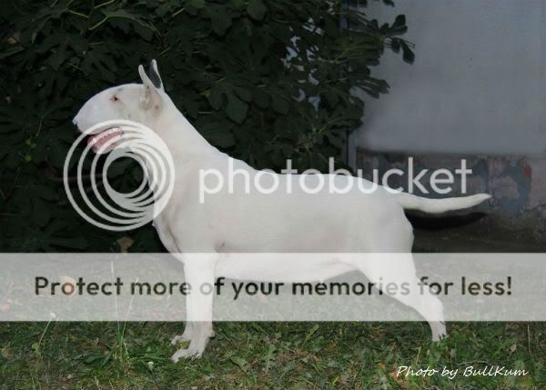 Posted Image