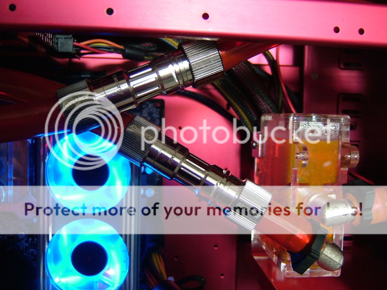 DSCF5491.jpg