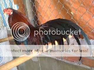 IMG_1312-1.jpg IMG_1312-1.jpg
