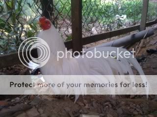 IMG_1531.jpg IMG_1531.jpg