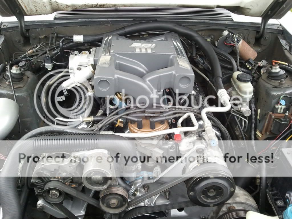 Engine Pictures - Page 2 - MustangForums.com
